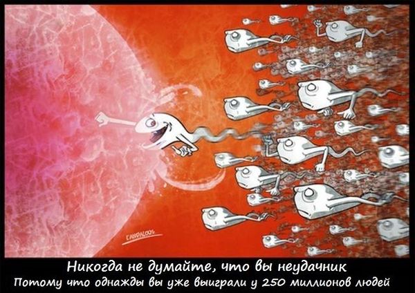 Неудачников не бывает