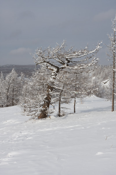 Где я пропадал 10 дней