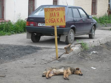 Осторожно злая собака